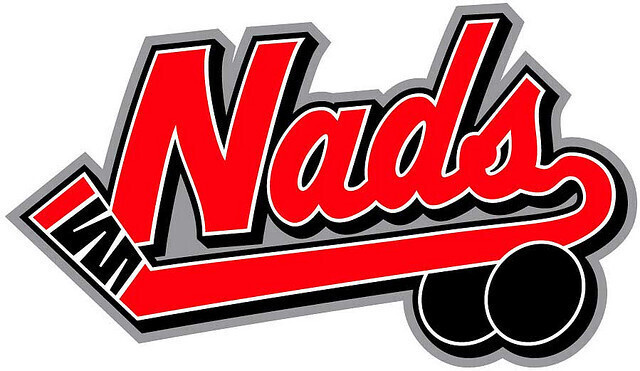 A logo for the RISD Nads hockey team features two hockey pucks suggestively astride a long red hockey stick.