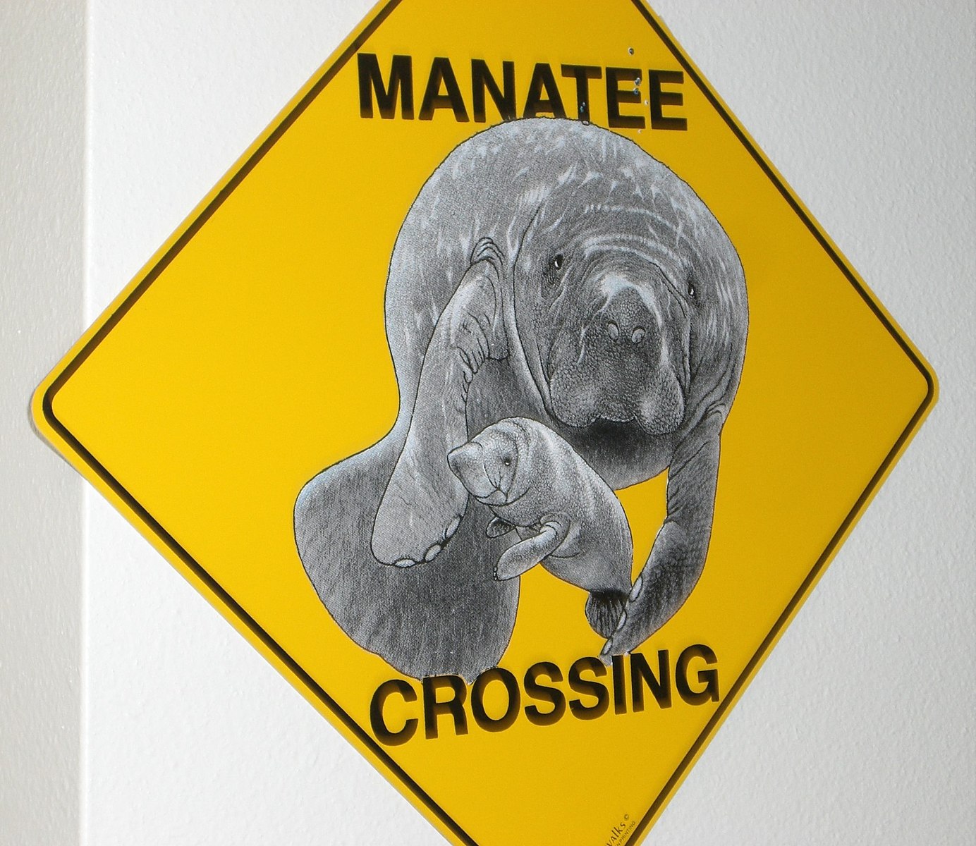 Yellow "Manatee Crossing" traffic sign shows an adult and a juvenile manatee